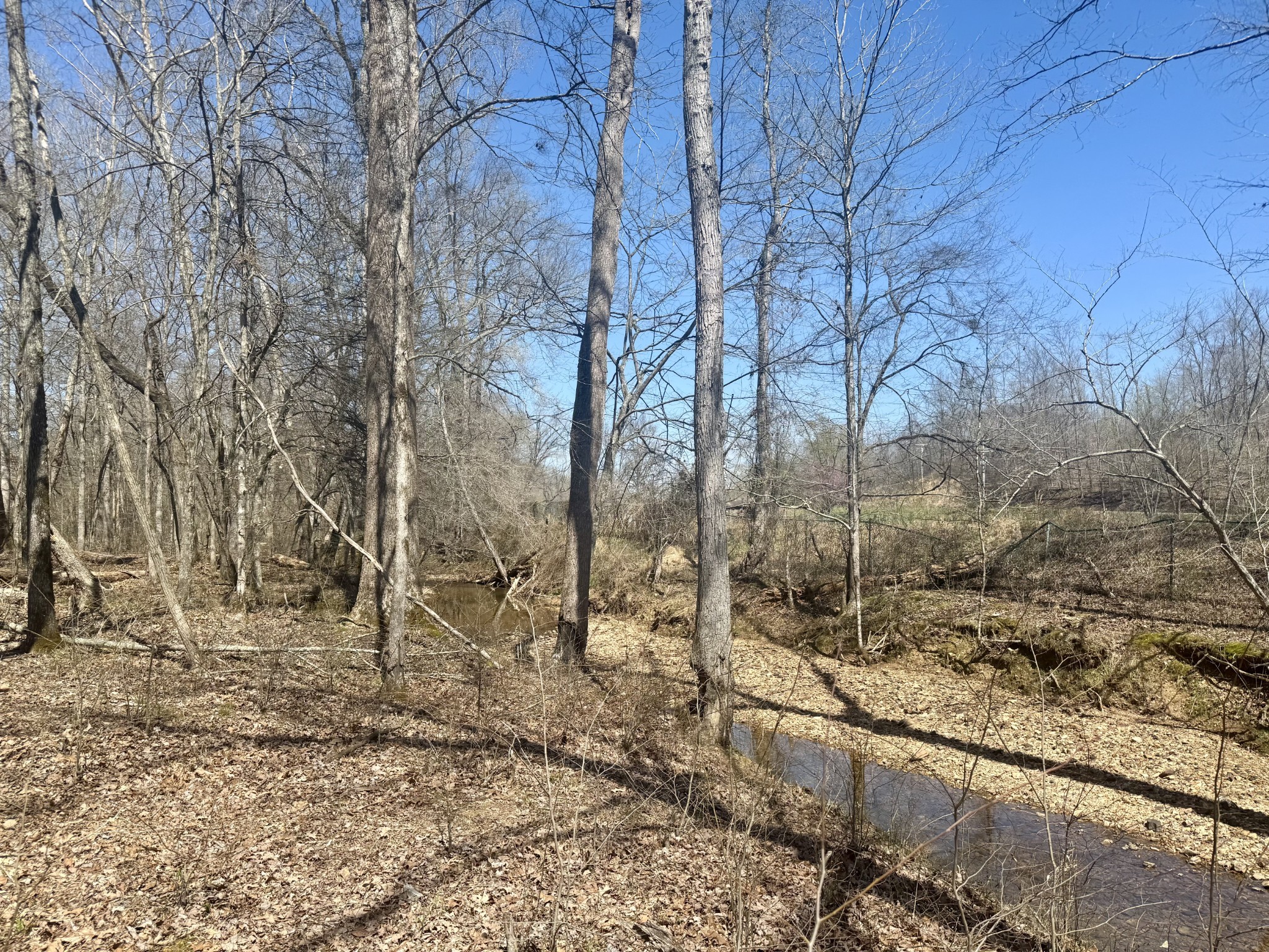 191 Forks River Road Waverly TN 37185