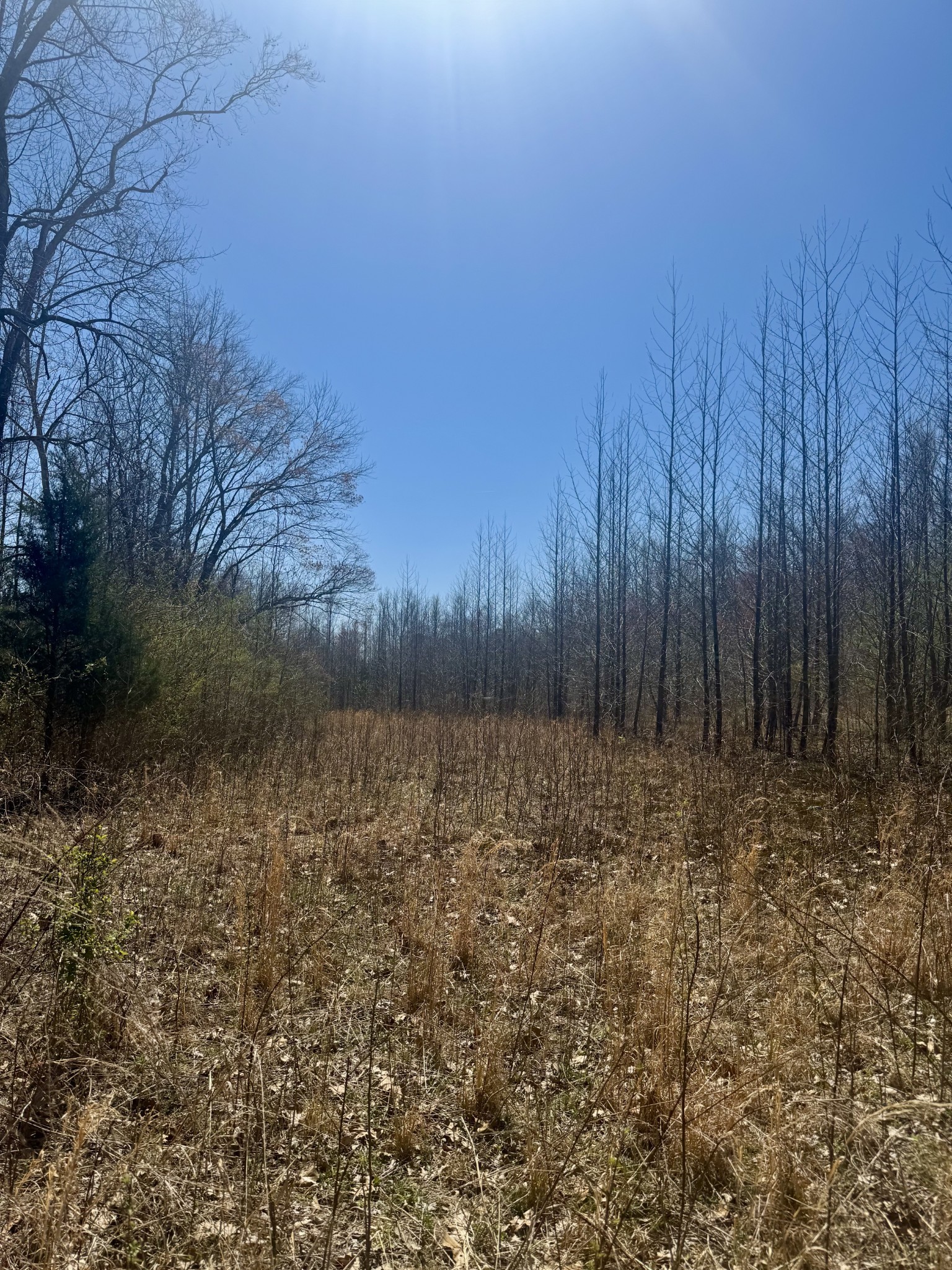 191 Forks River Road Waverly TN 37185