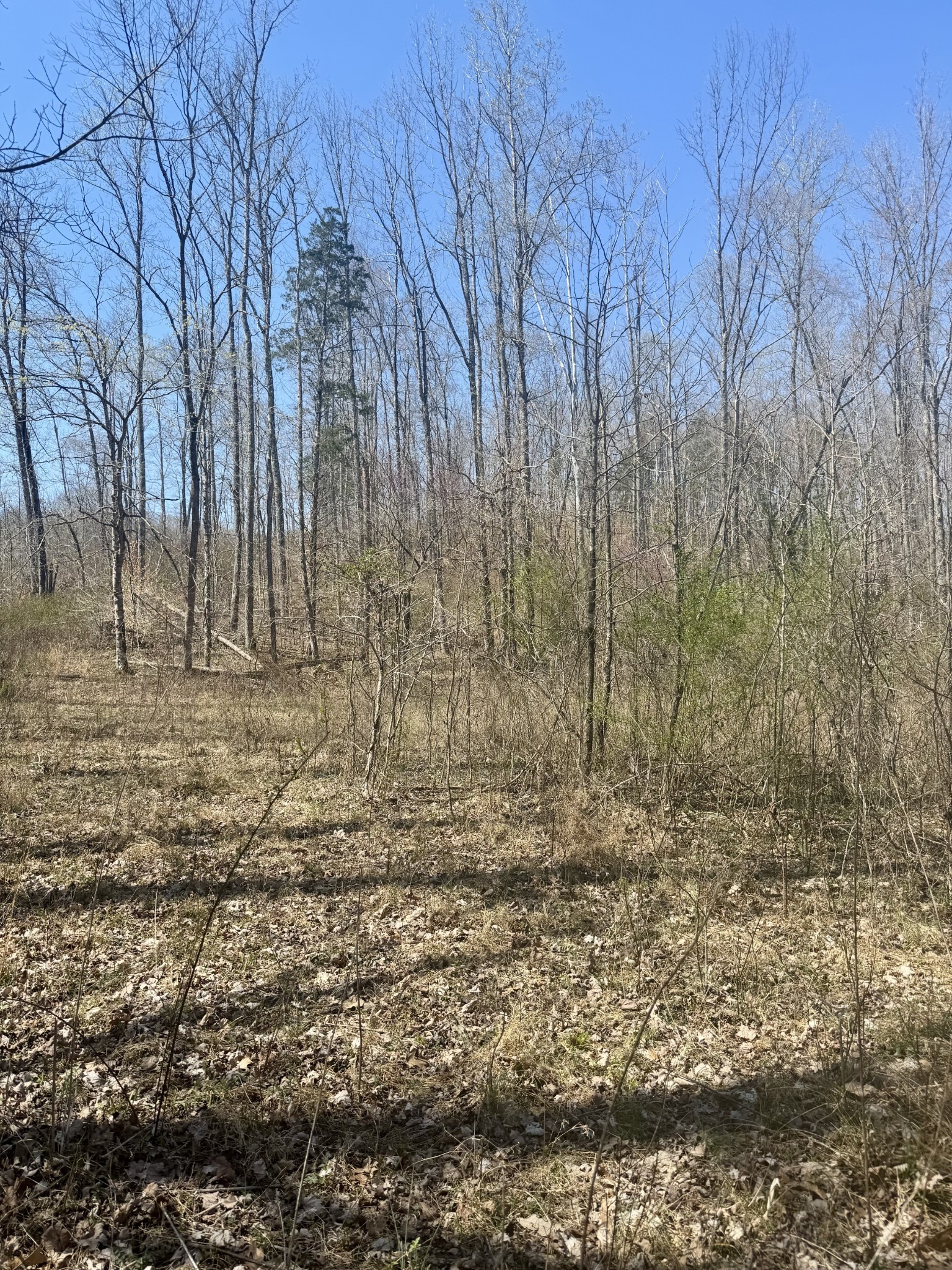 191 Forks River Road Waverly TN 37185