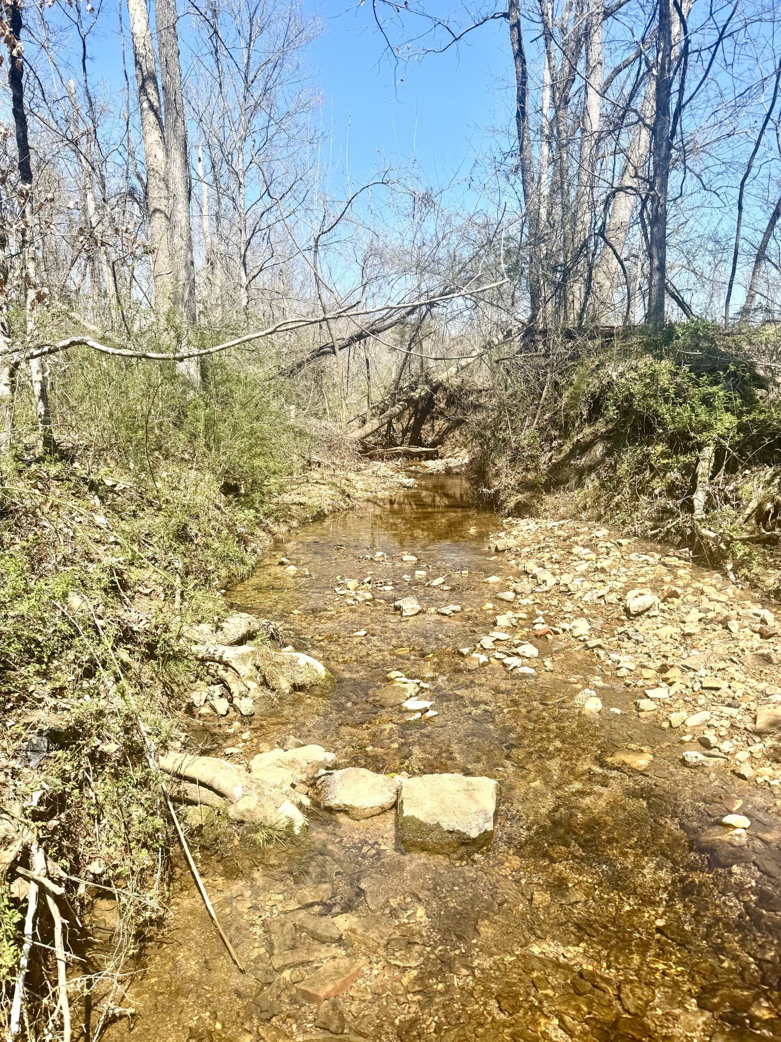 191 Forks River Road Waverly TN 37185