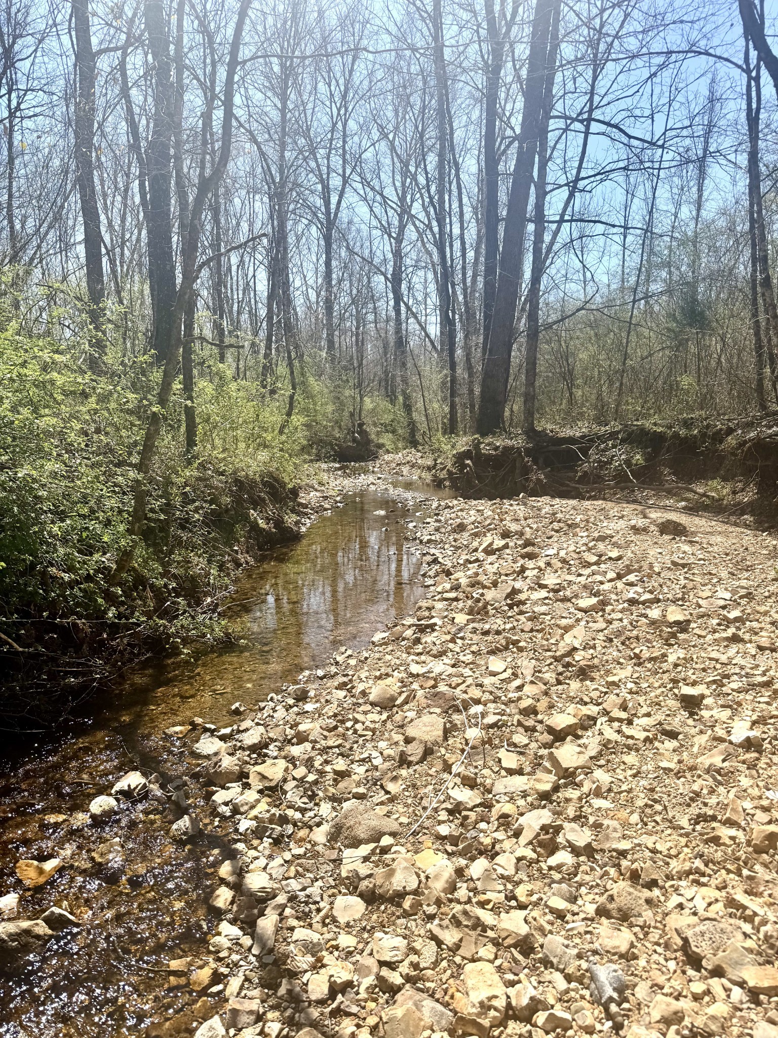 191 Forks River Road Waverly TN 37185