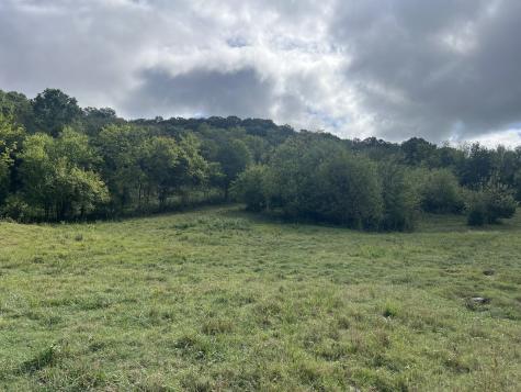 0 Fort Blount Road Hartsville TN 37074