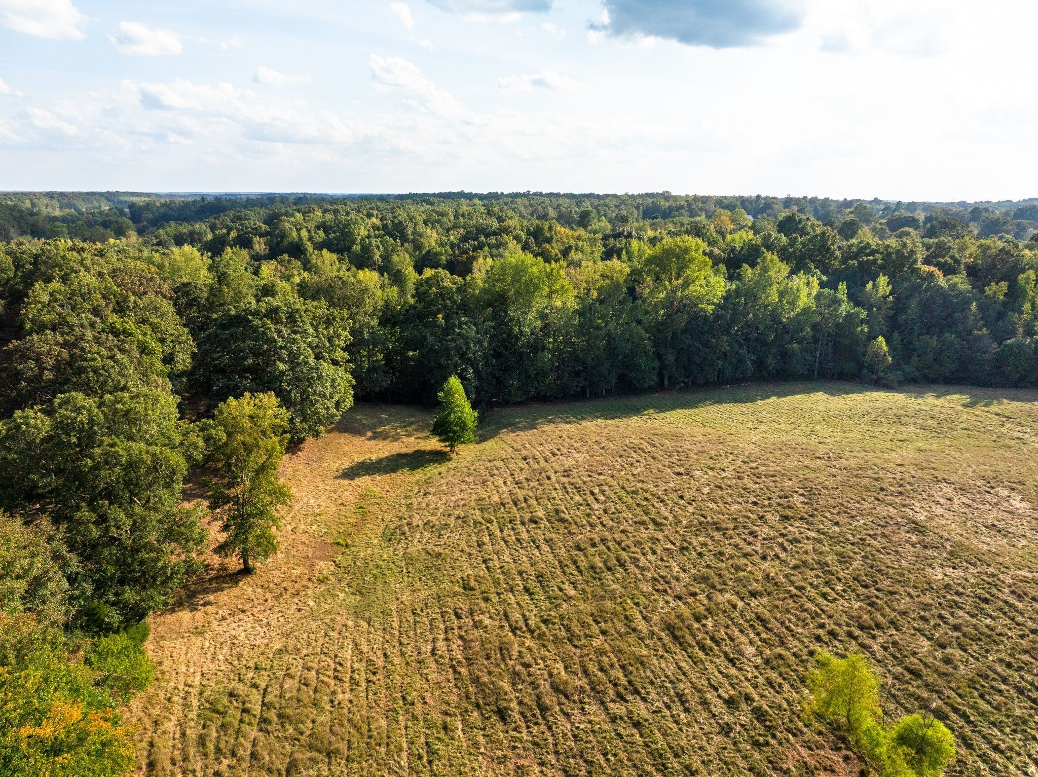 0 Ridge Road Mc Ewen TN 37101