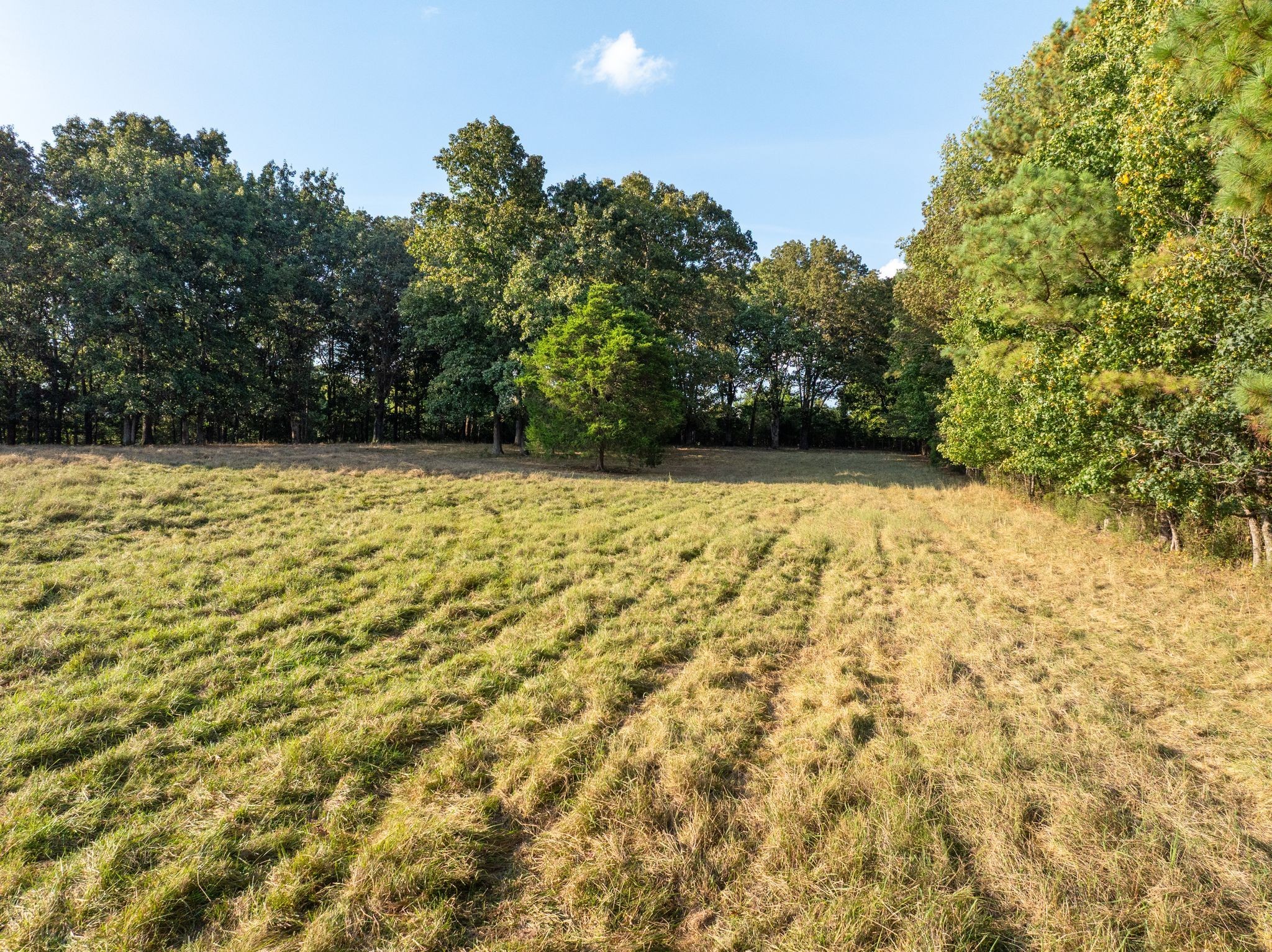 0 Ridge Road Mc Ewen TN 37101