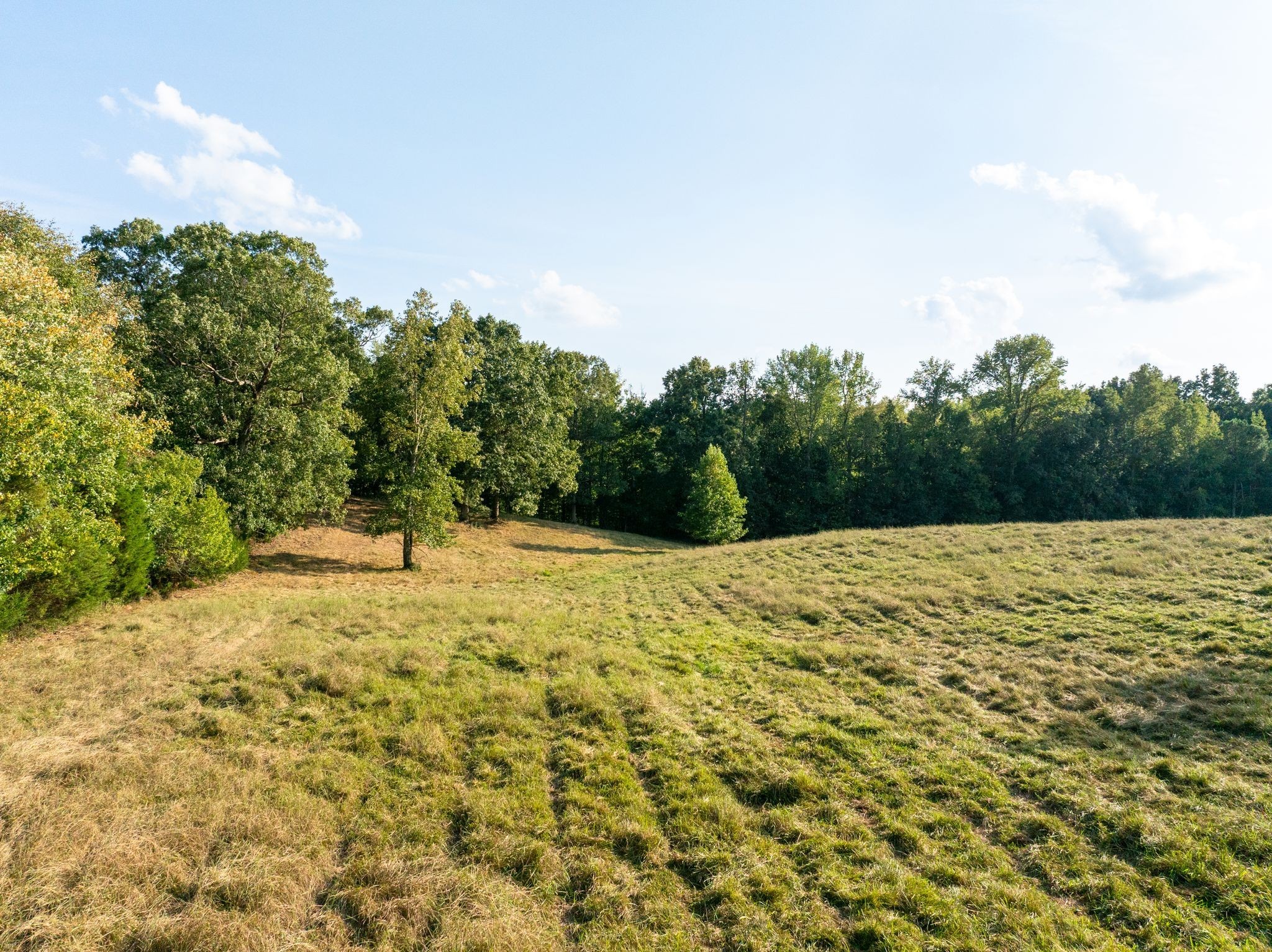 0 Ridge Road Mc Ewen TN 37101
