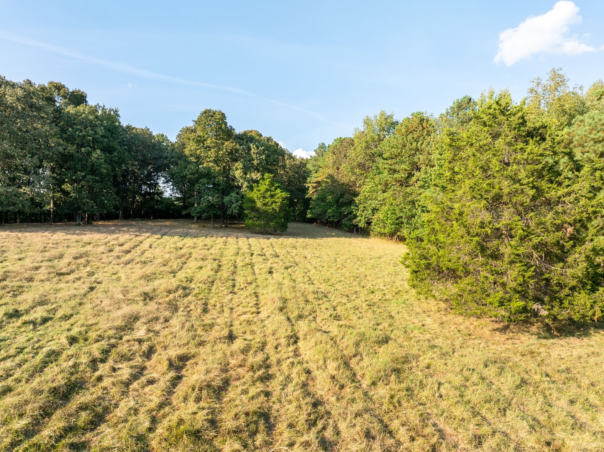 0 Ridge Road Mc Ewen TN 37101