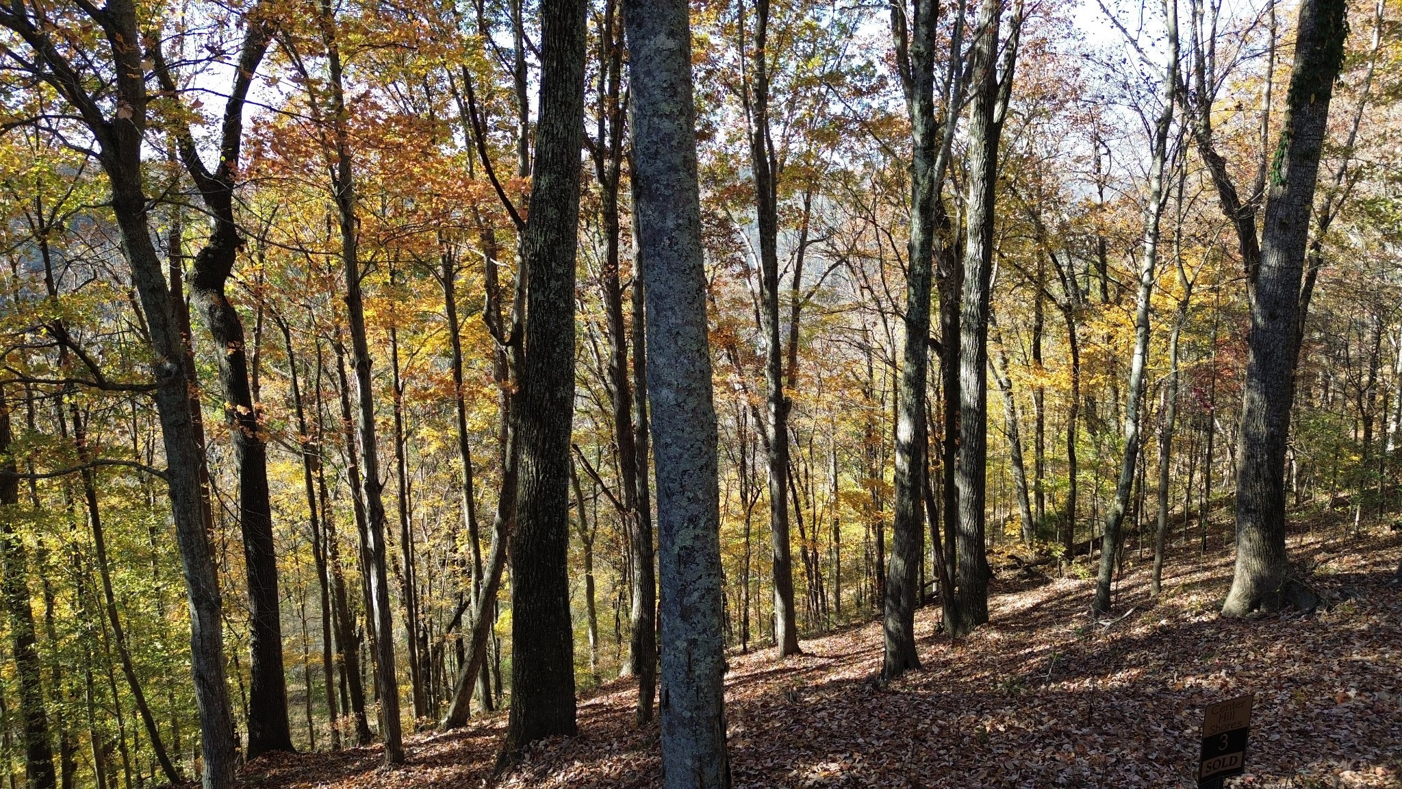 0 Savannah Drive Smithville TN 37166