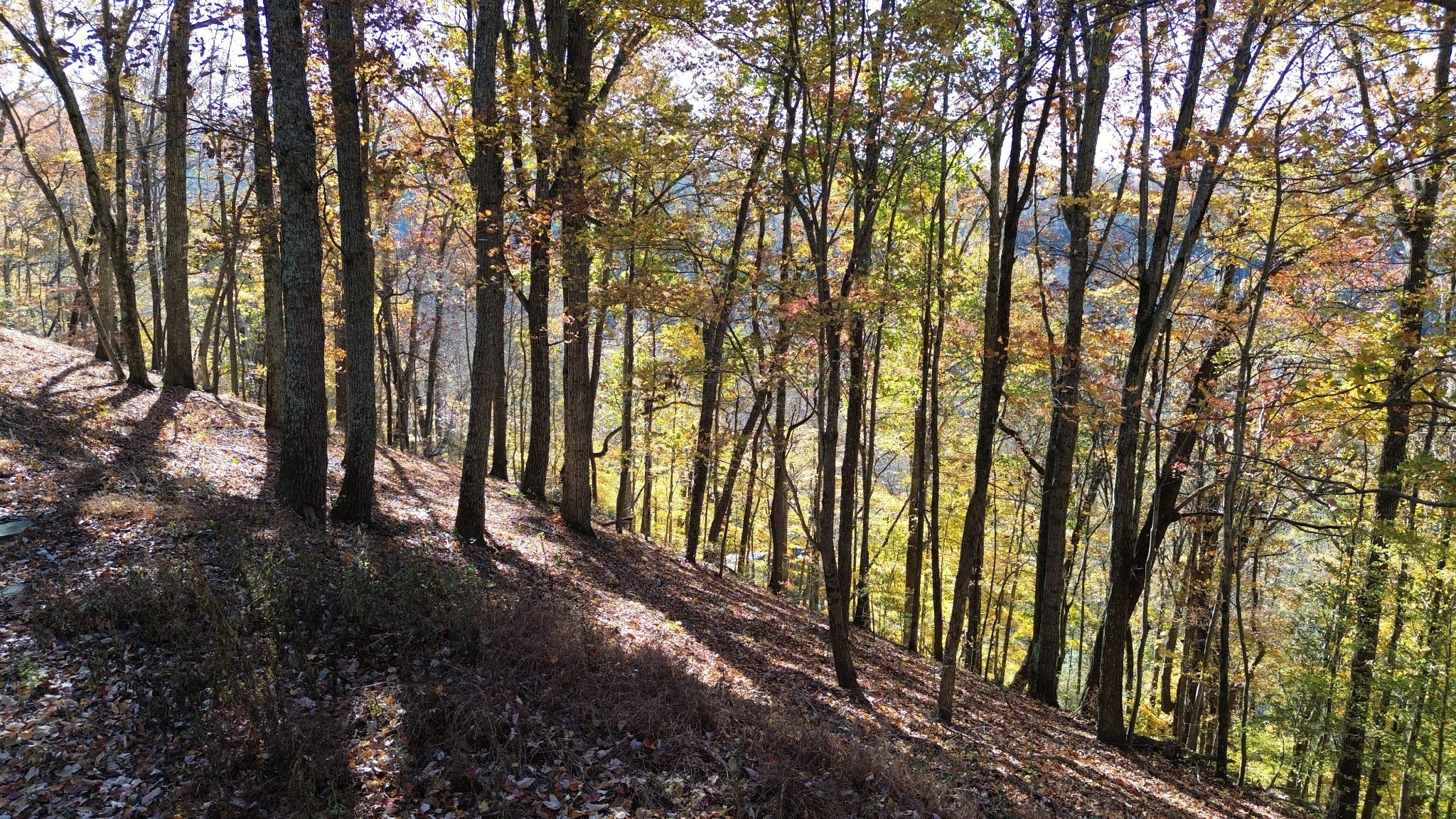 0 Savannah Drive Smithville TN 37166