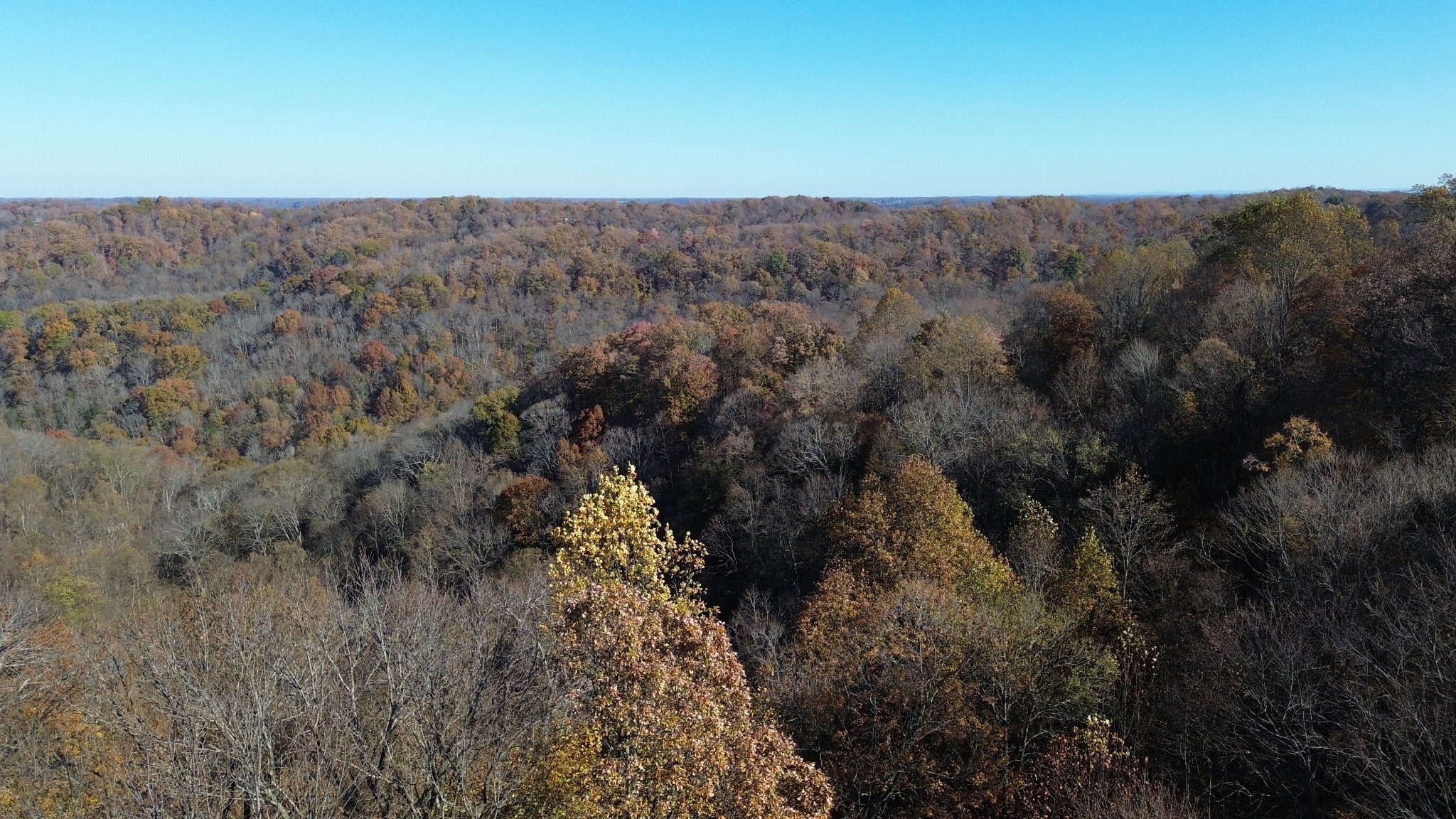 0 Savannah Drive Smithville TN 37166