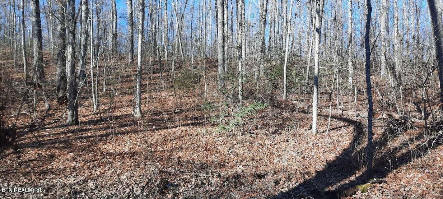 1149 Off Stanley Hood Road Crossville TN 38571
