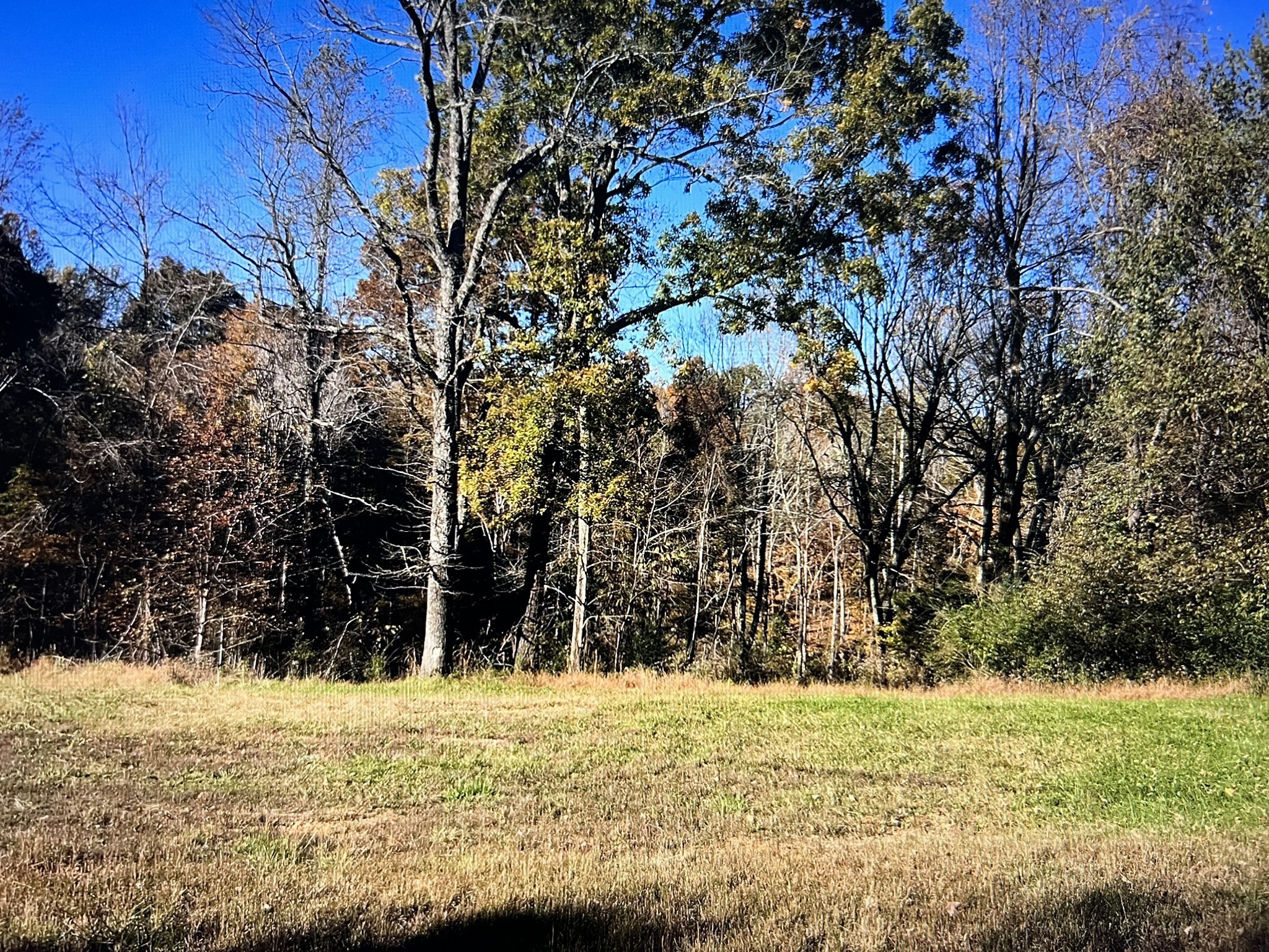 1366 Ridge Circle Joelton TN 37080