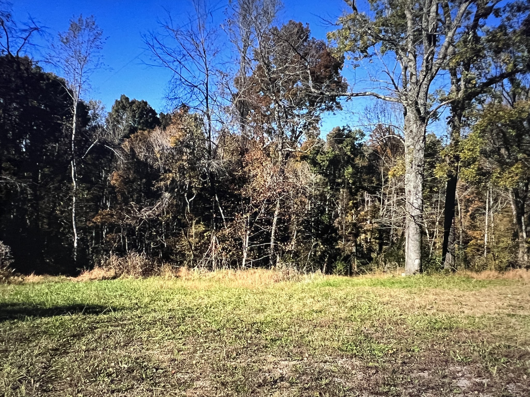 1366 Ridge Circle Joelton TN 37080