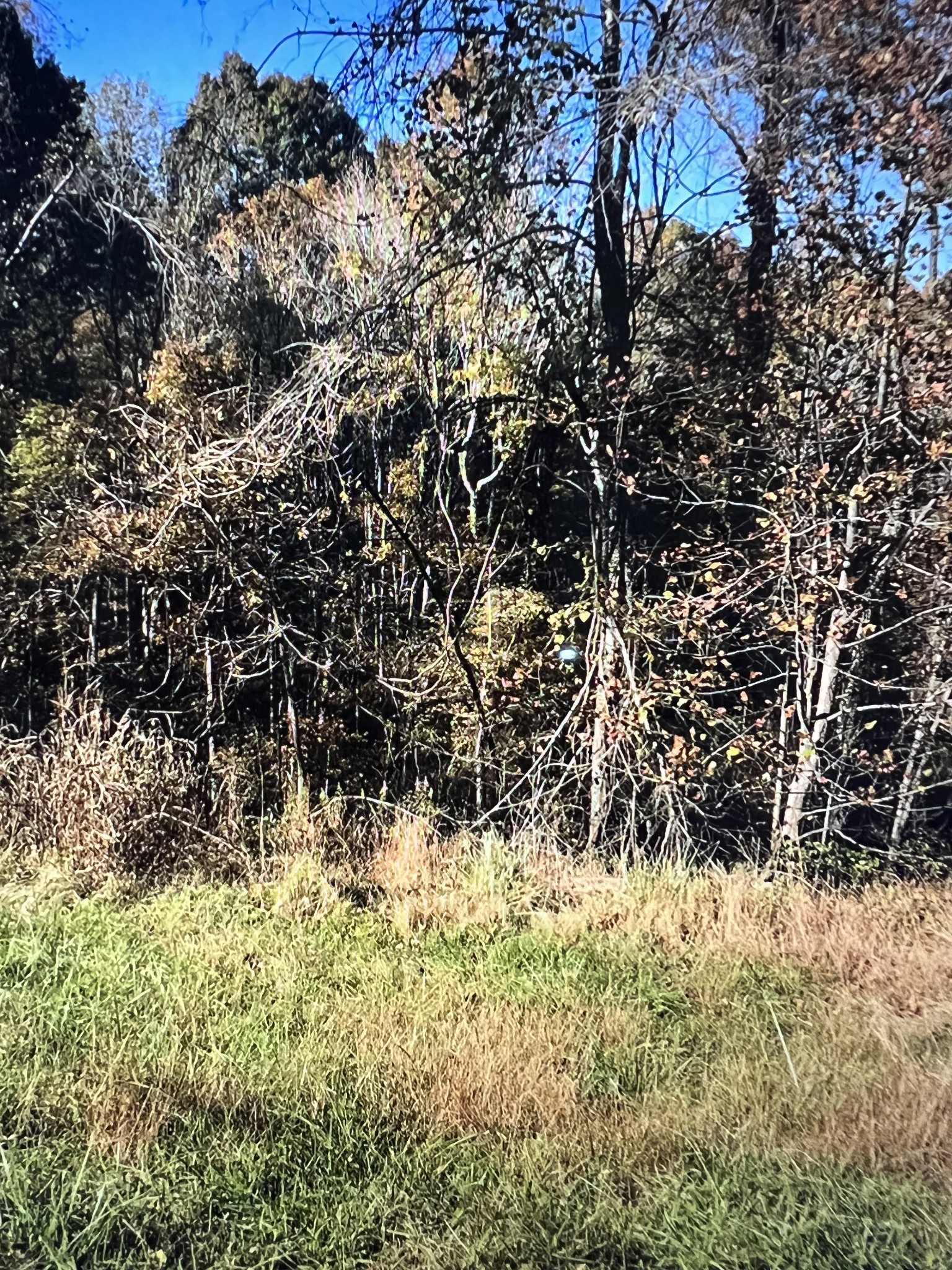 1366 Ridge Circle Joelton TN 37080