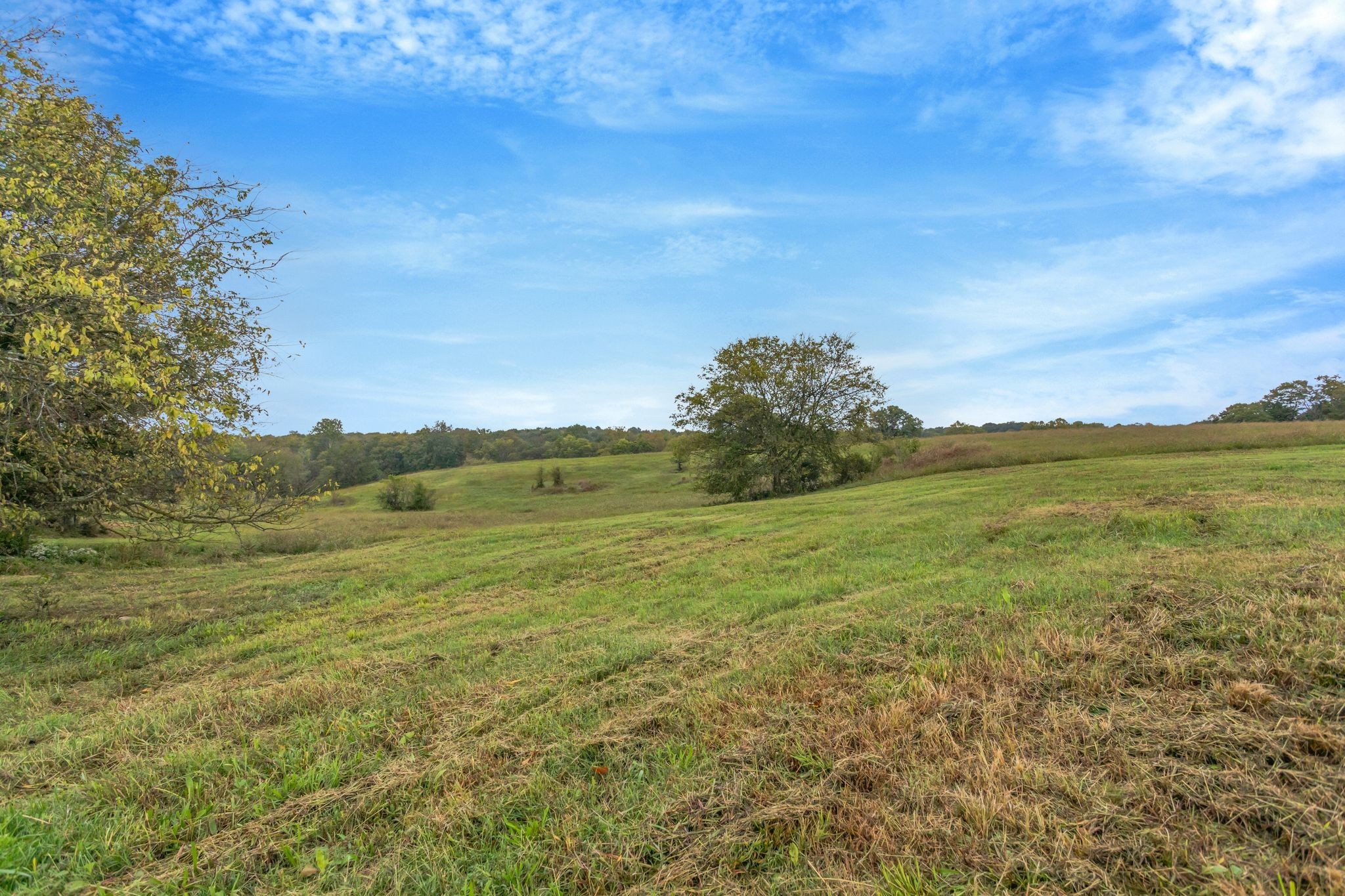 1597 John Sharp Road Spring Hill TN 37174