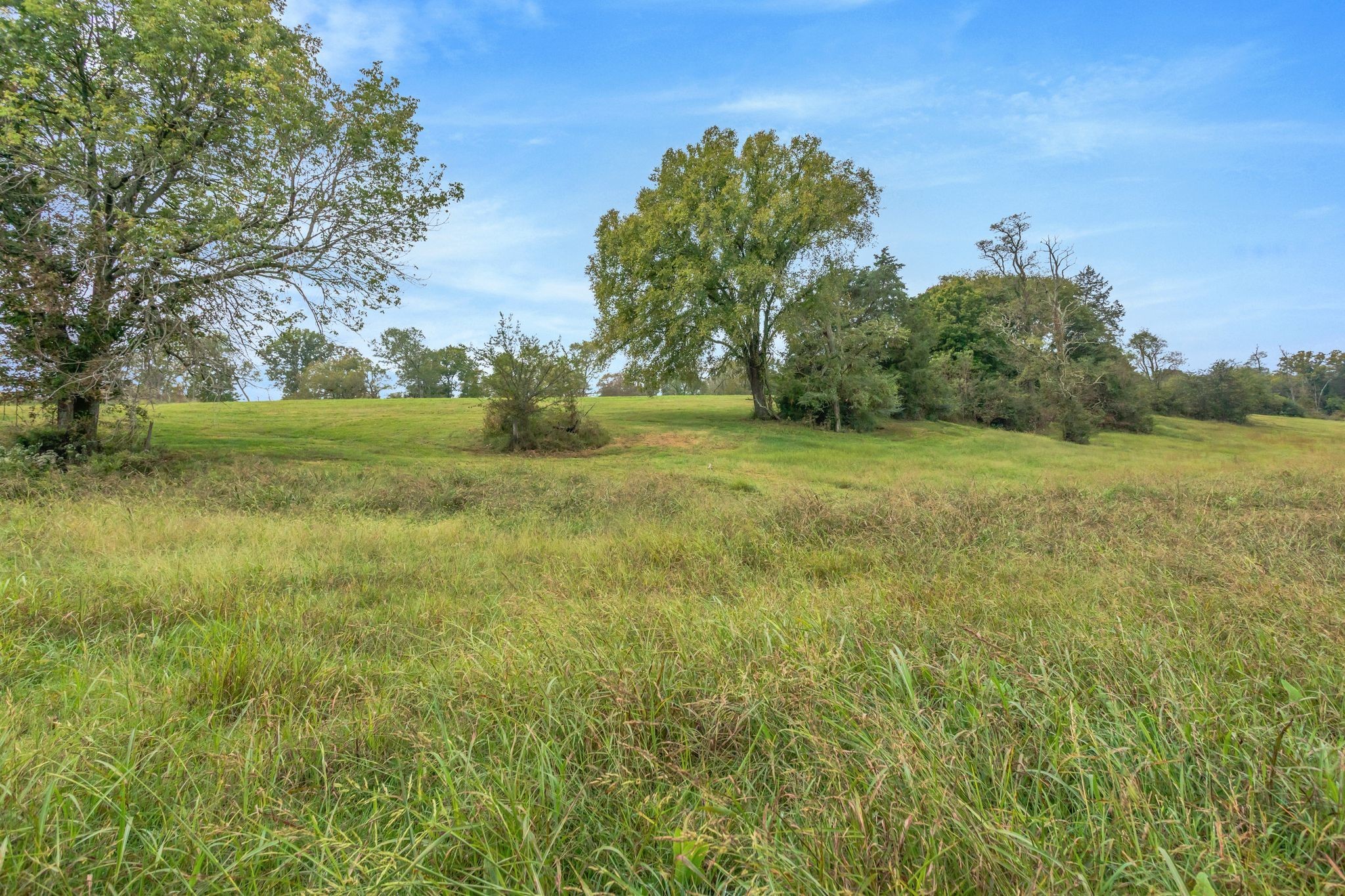 1597 John Sharp Road Spring Hill TN 37174