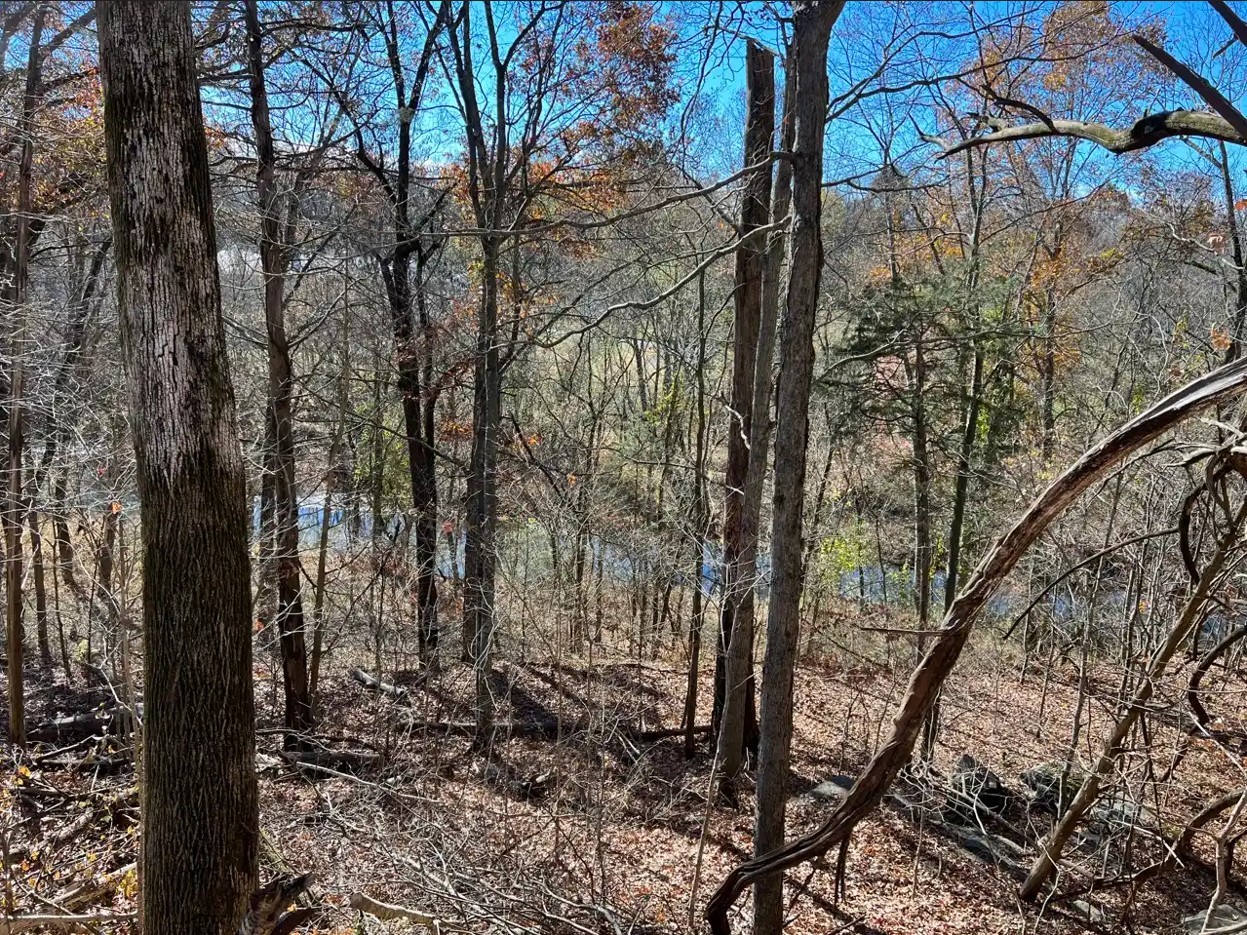 298 Tobacco Road Clarksville TN 37042