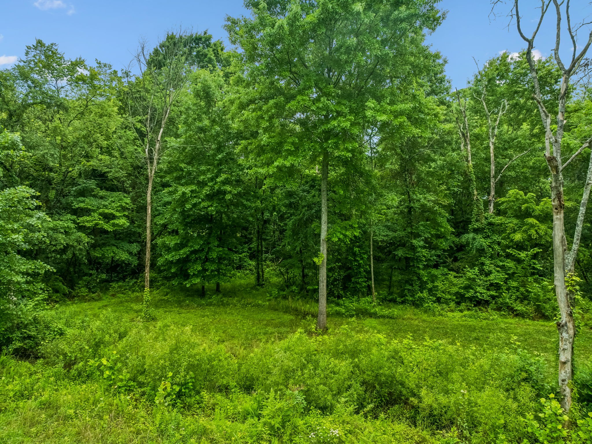 280 Kingdom Road Unionville TN 37180