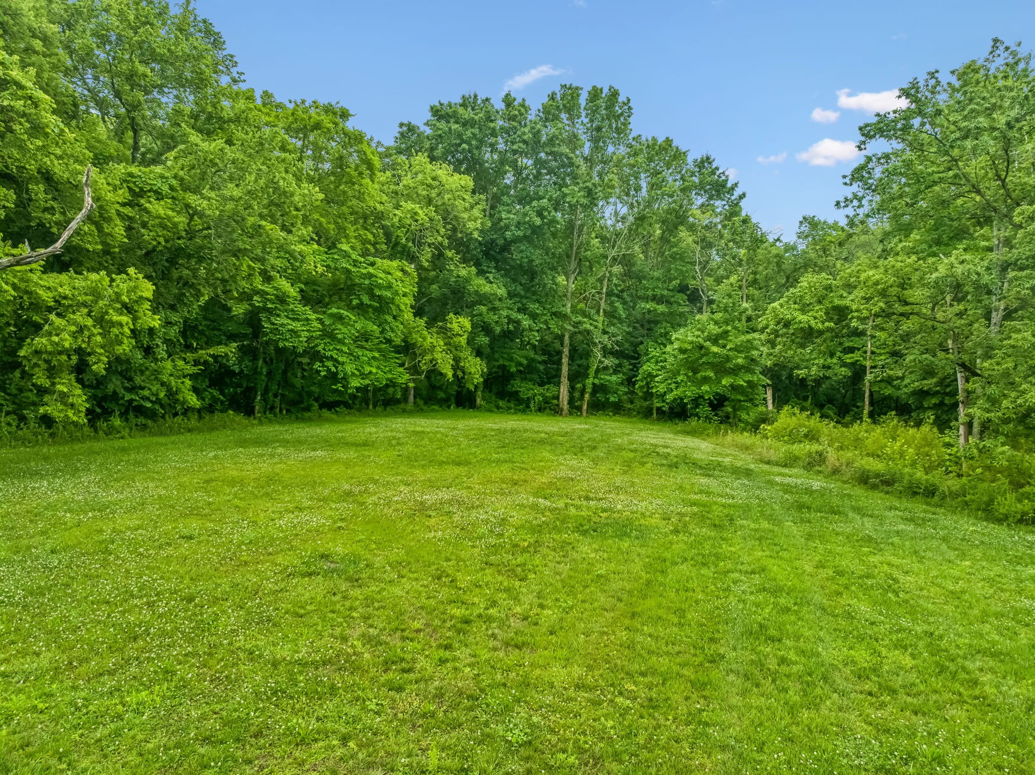 280 Kingdom Road Unionville TN 37180