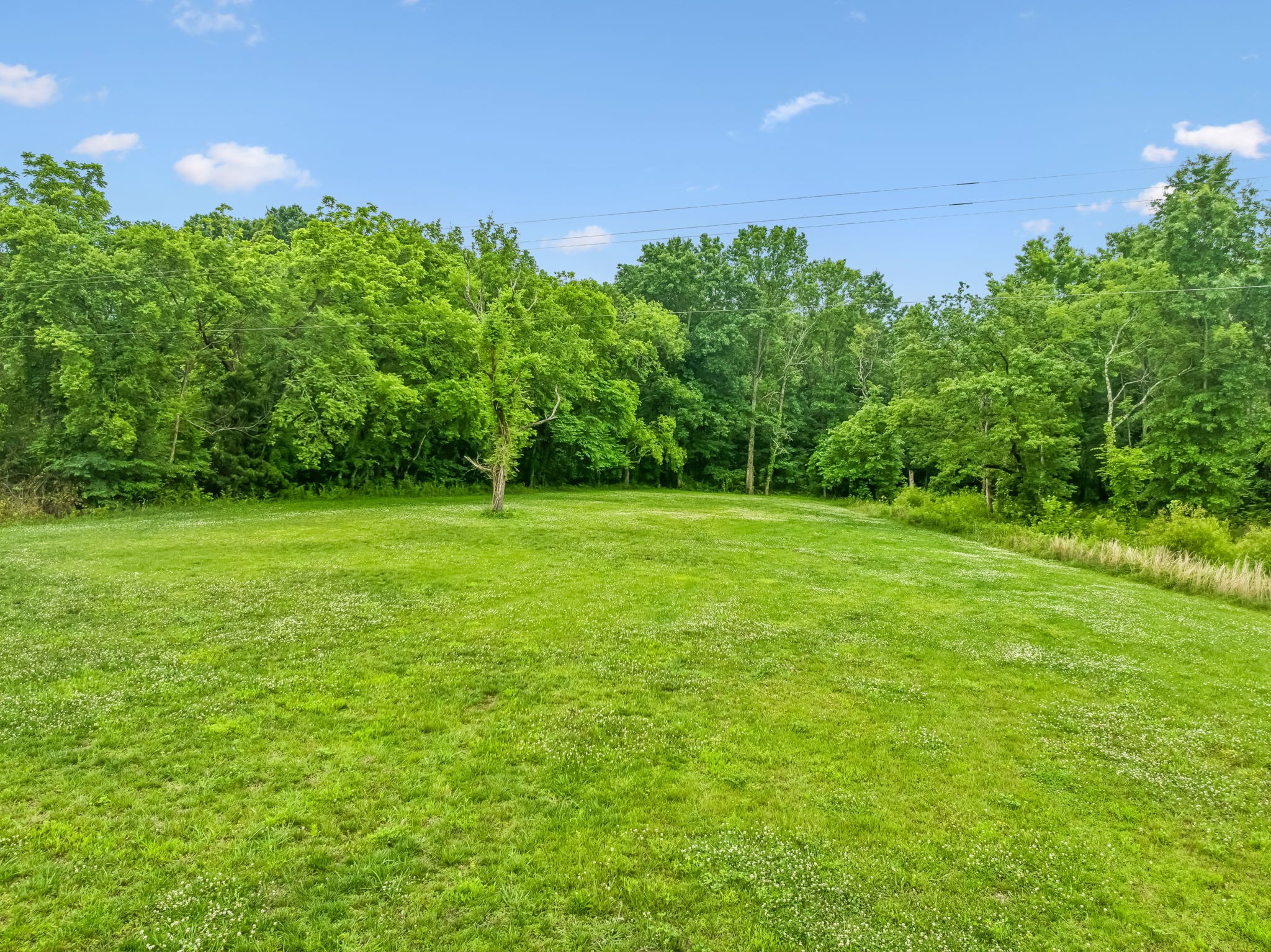 280 Kingdom Road Unionville TN 37180