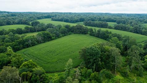 1550 Dutch Creek Road Westmoreland TN 37186
