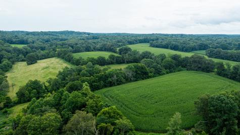 1550 Dutch Creek Road Westmoreland TN 37186