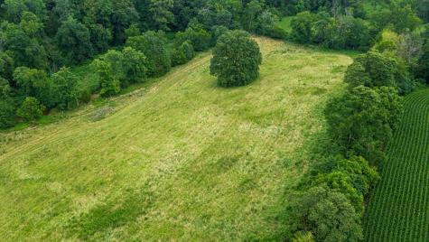 1550 Dutch Creek Road Westmoreland TN 37186