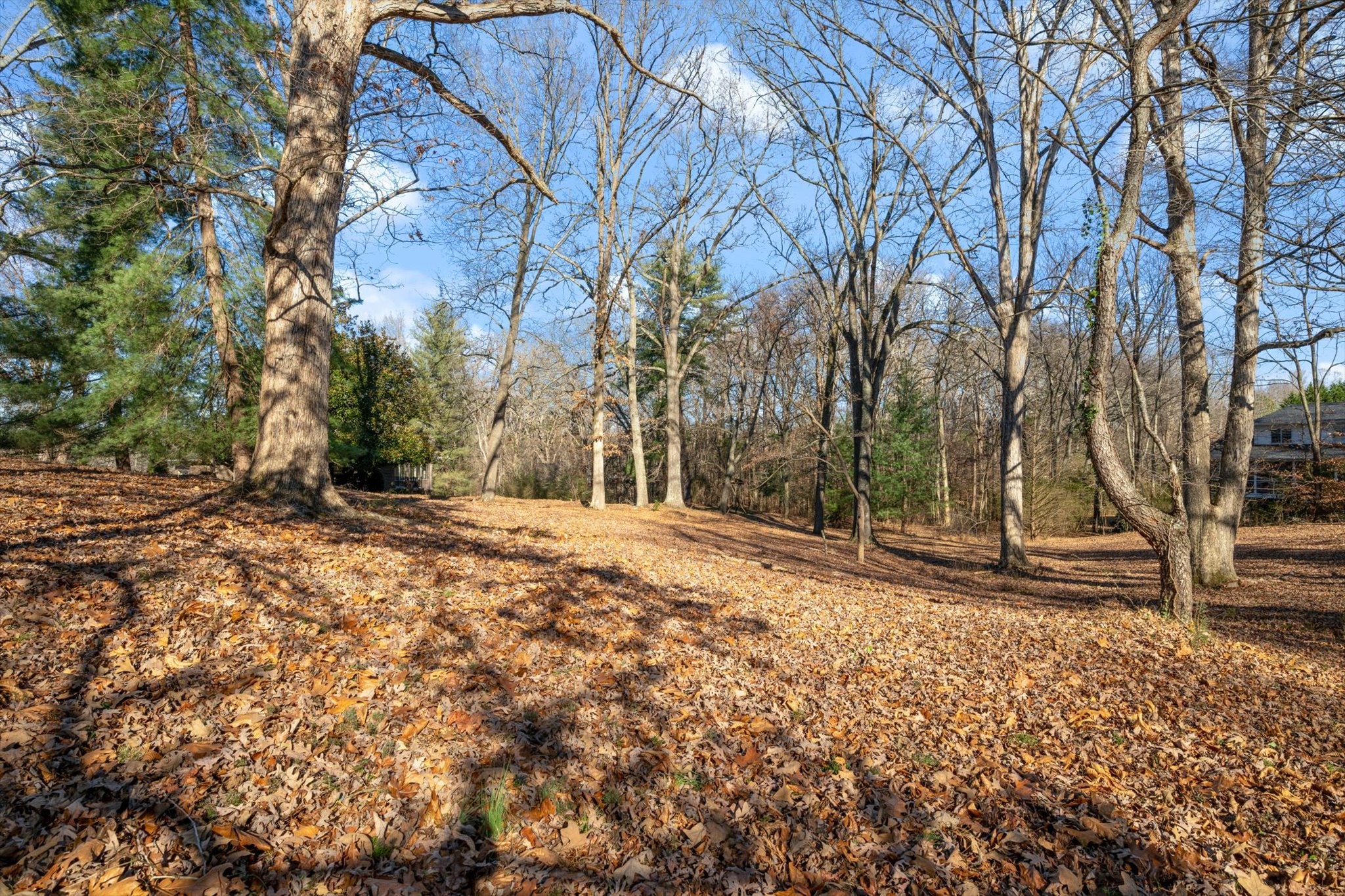 0A Pickney Road Winchester TN 37398