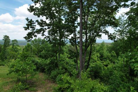 440 Lookout View Drive Jasper TN 37347