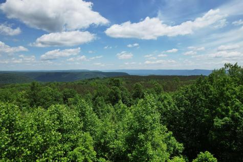 440 Lookout View Drive Jasper TN 37347
