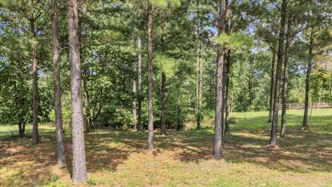 440 Lookout View Drive Jasper TN 37347