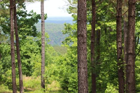 440 Lookout View Drive Jasper TN 37347