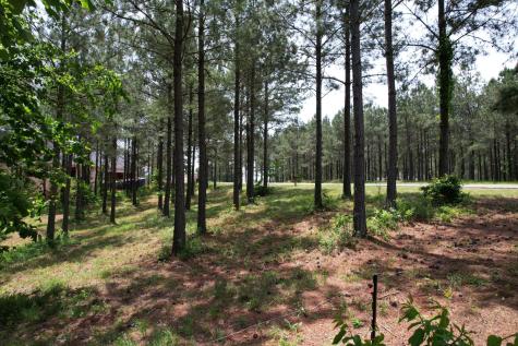 440 Lookout View Drive Jasper TN 37347