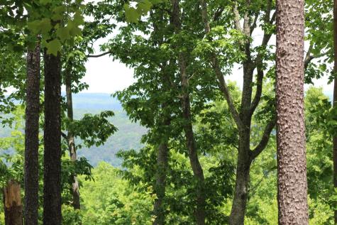 440 Lookout View Drive Jasper TN 37347