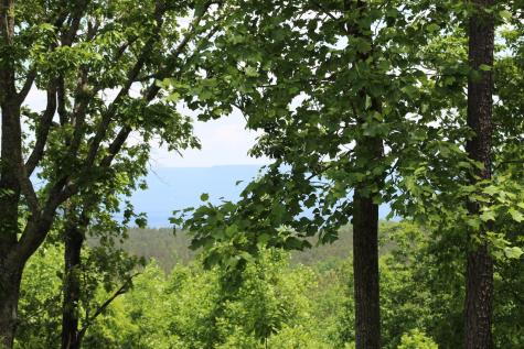440 Lookout View Drive Jasper TN 37347