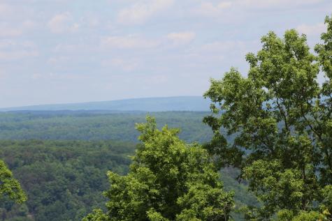 440 Lookout View Drive Jasper TN 37347