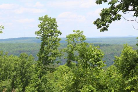 440 Lookout View Drive Jasper TN 37347