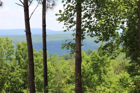 440 Lookout View Drive Jasper TN 37347