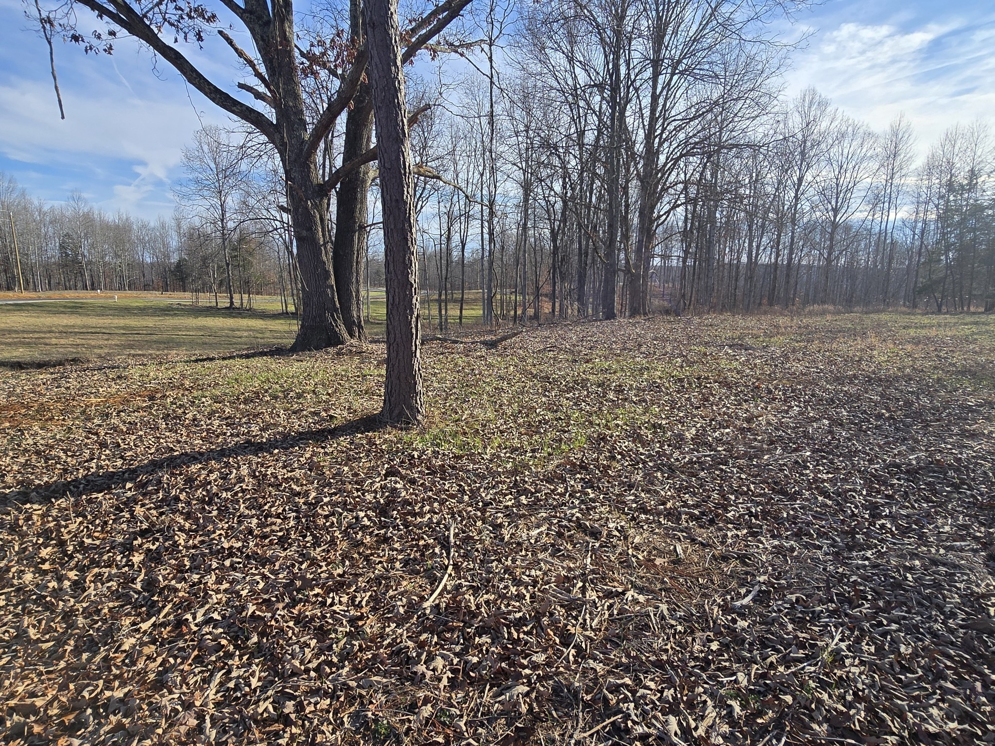 9510 Medlin Road Baxter TN 38544