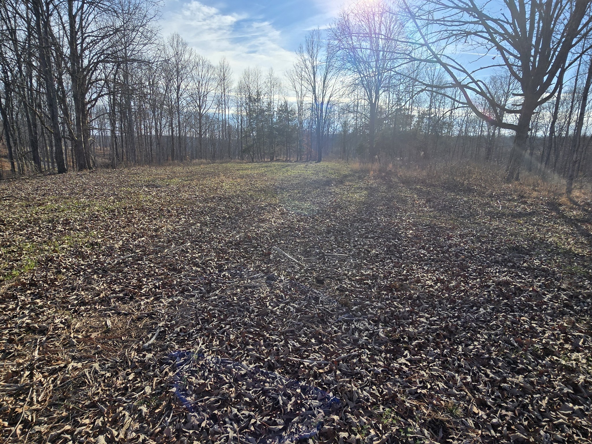 9510 Medlin Road Baxter TN 38544