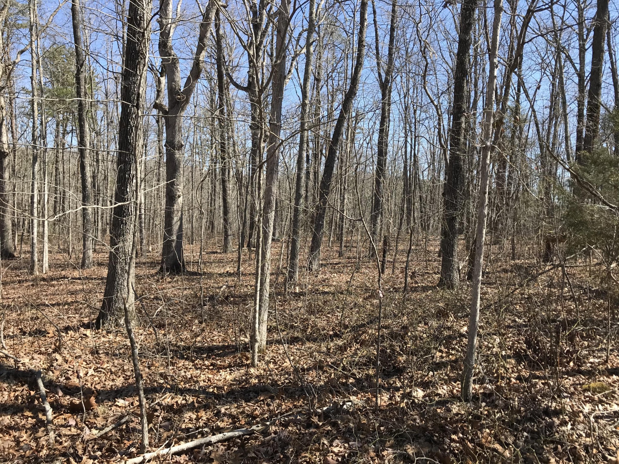 3 Deerhead Road Dunlap TN 37327