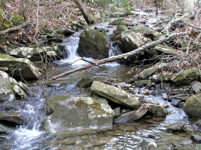 3 Deerhead Road Dunlap TN 37327