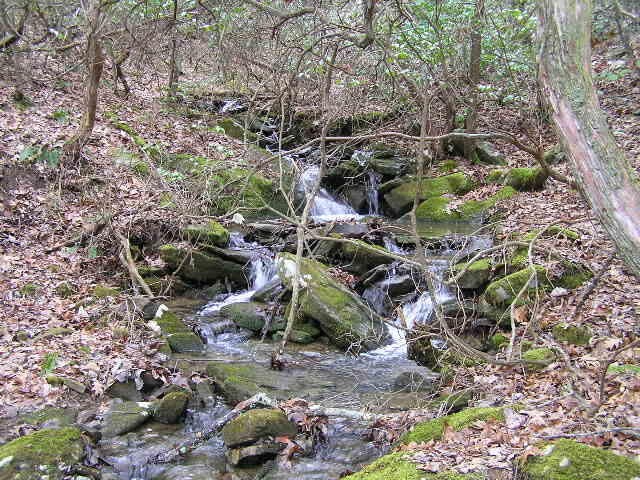 3 Deerhead Road Dunlap TN 37327
