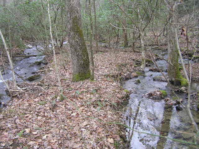 3 Deerhead Road Dunlap TN 37327