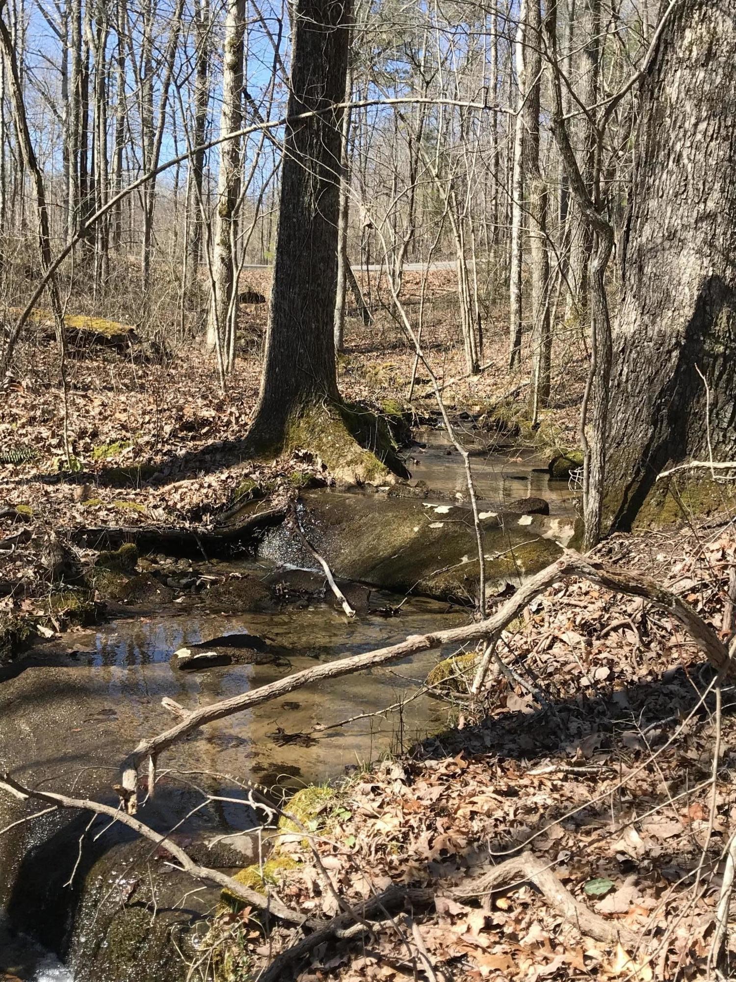 3 Deerhead Road Dunlap TN 37327