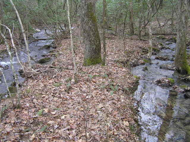 3 Deerhead Road Dunlap TN 37327