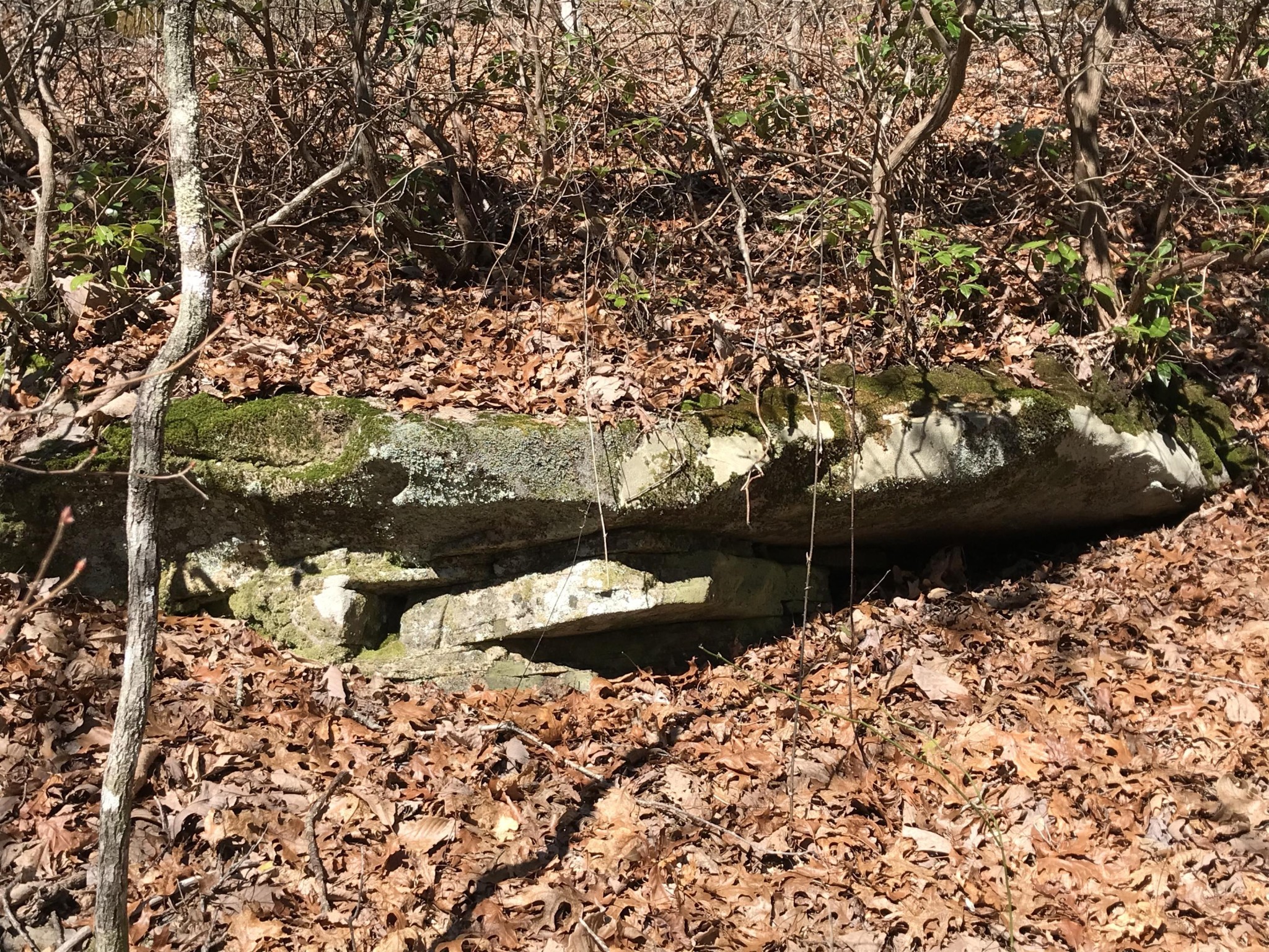 3 Deerhead Road Dunlap TN 37327