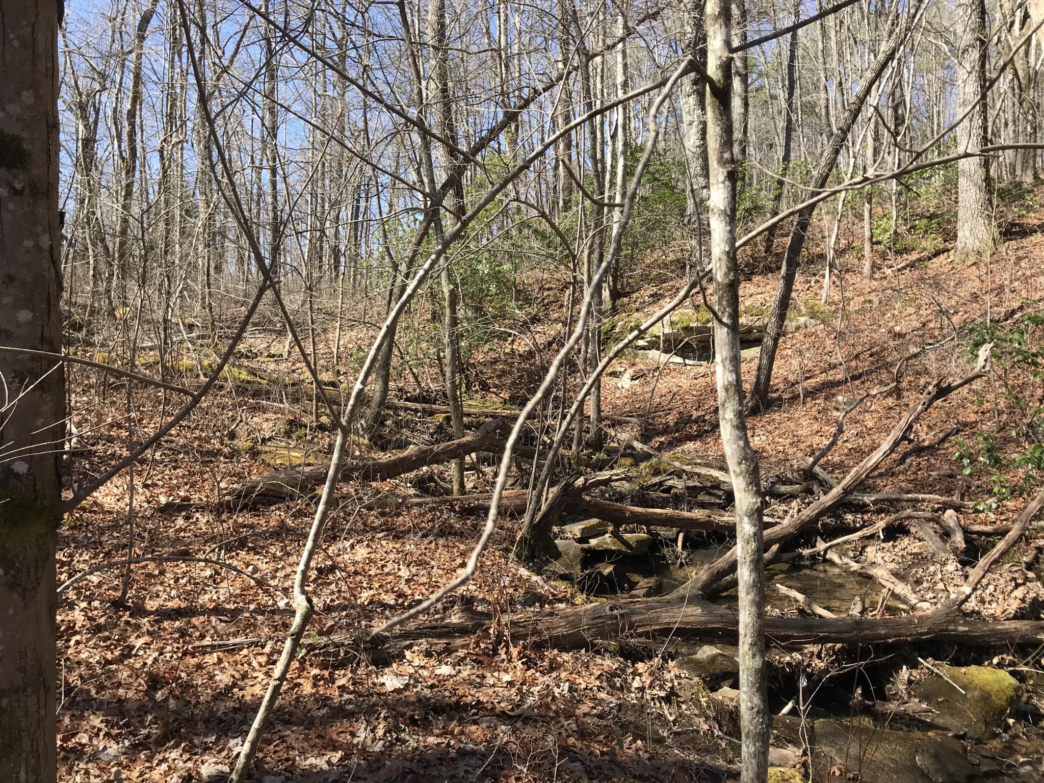3 Deerhead Road Dunlap TN 37327