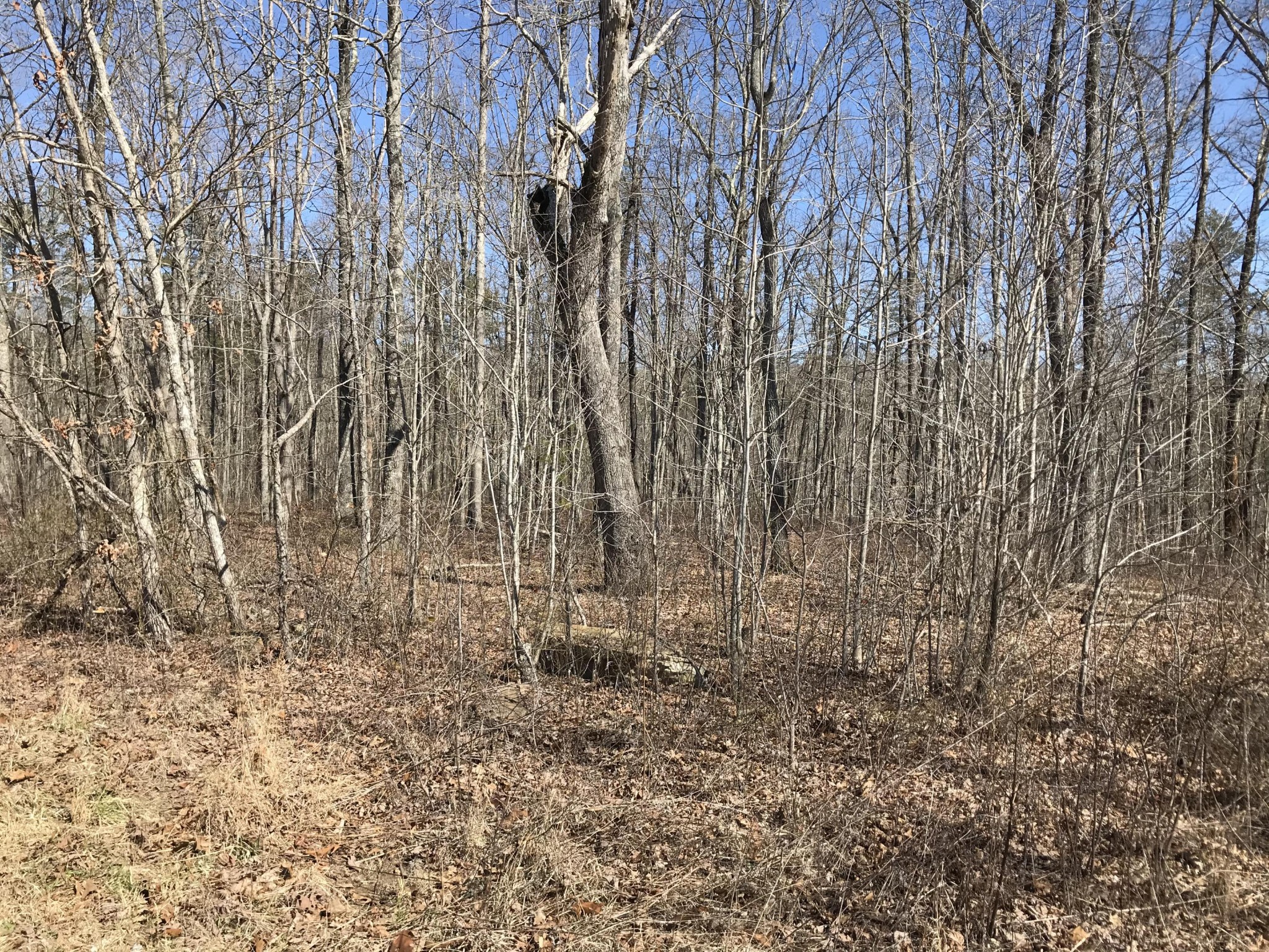 3 Deerhead Road Dunlap TN 37327