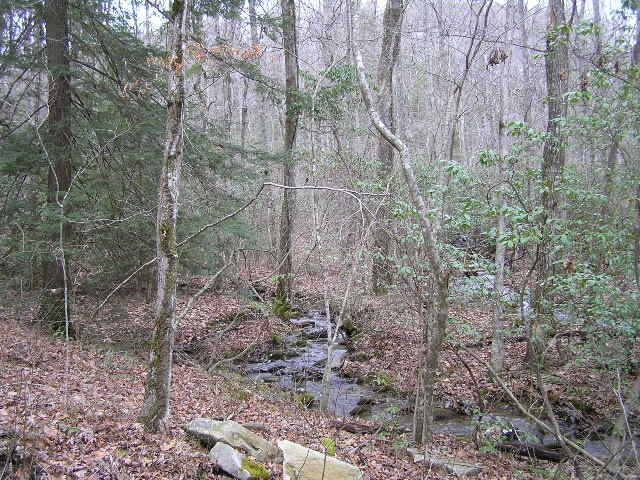 3 Deerhead Road Dunlap TN 37327