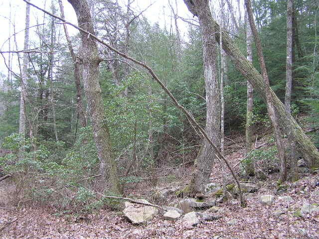 3 Deerhead Road Dunlap TN 37327